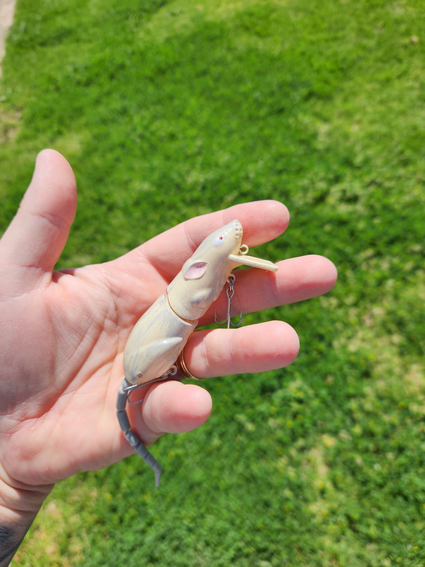 Ratatoui