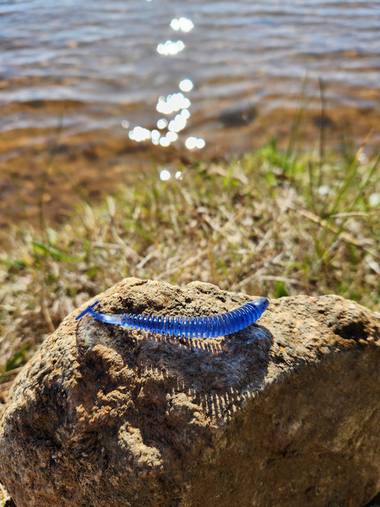 Blue paddle tail