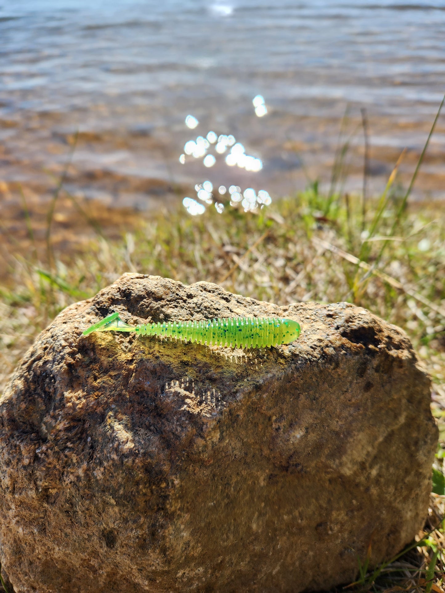 Green paddle tail