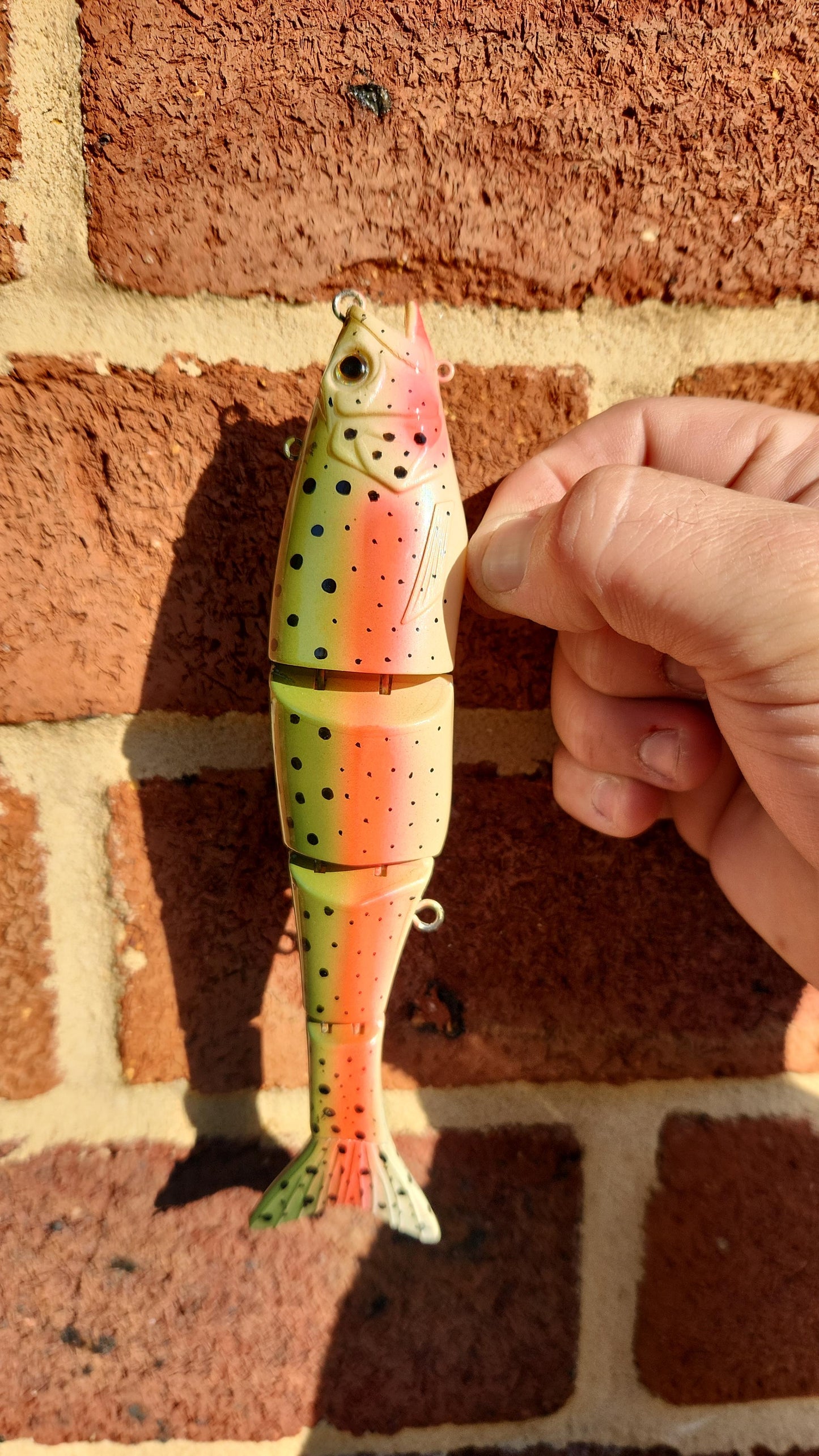 Nimbus Custom Swimbait